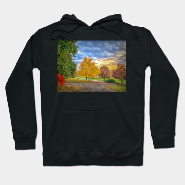 Autumn in Pennsylvania Hoodie by Debra Martz